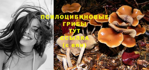 spice Алексин