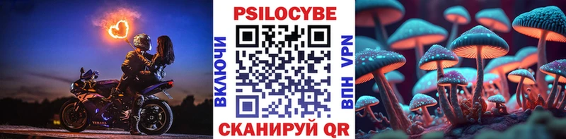 купить закладку  Удомля  Галлюциногенные грибы Psilocybine cubensis 